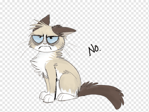 Рисованный недовольный кот