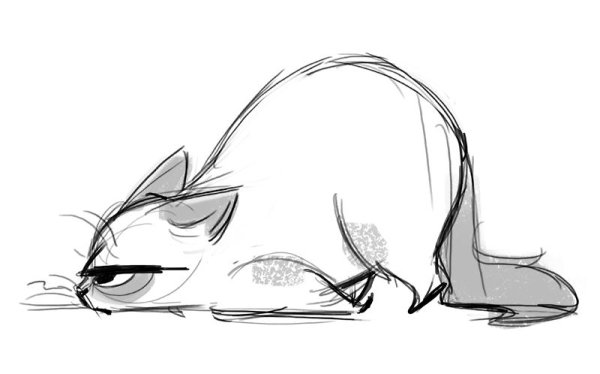 Скетчи котов