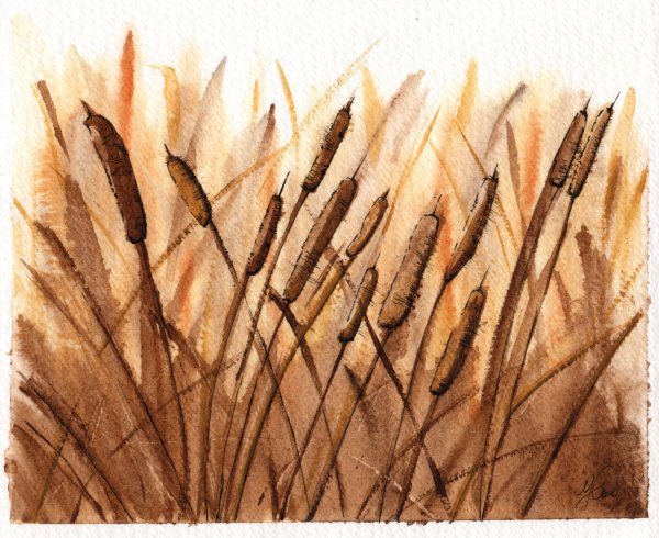 Сепия цвет акварель