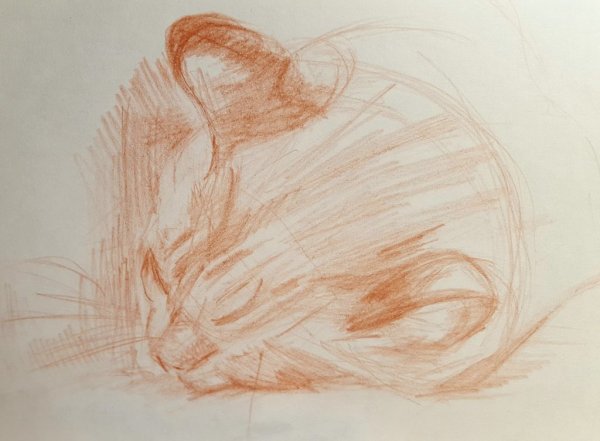 Сангина для рисования