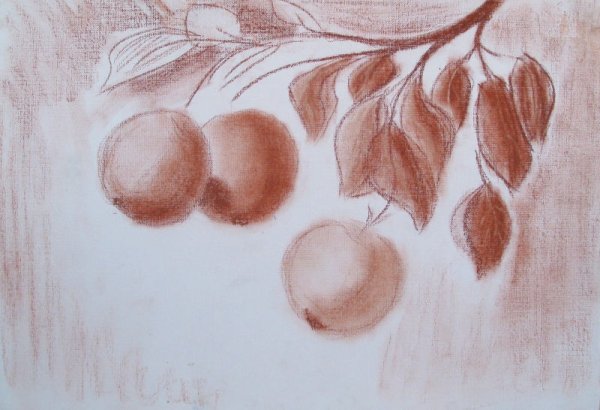 Сепия для рисования