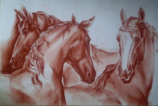 Сангина натюрморт Академический