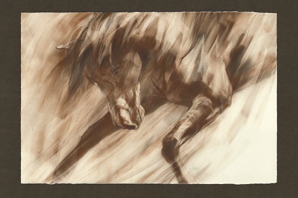 Большие картины карандашом