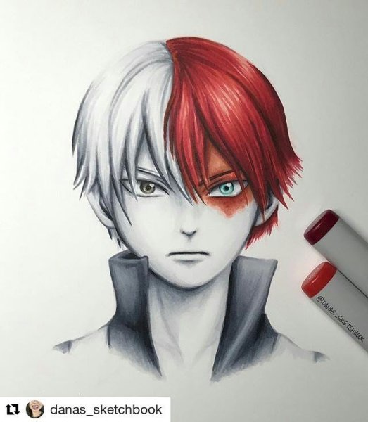 Тодороки Sketch