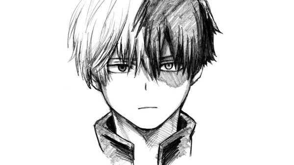 Тодороки шото черно белый