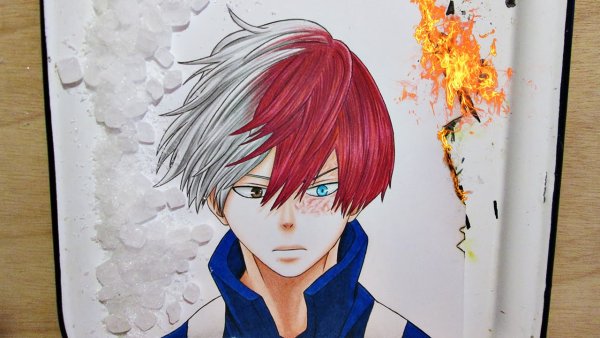 Тодороки шото портрет