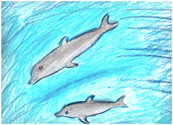 Беломордый Дельфин раскраска для детей