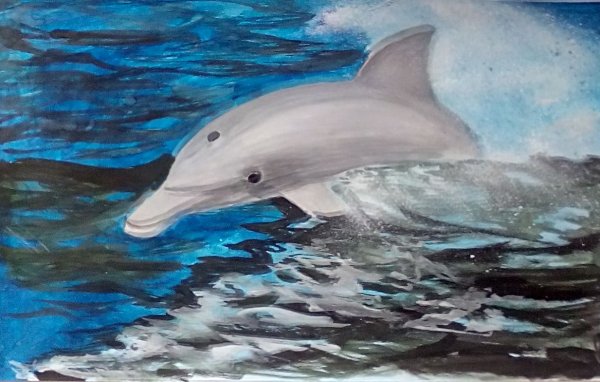 Черноморская Афалина рисунок