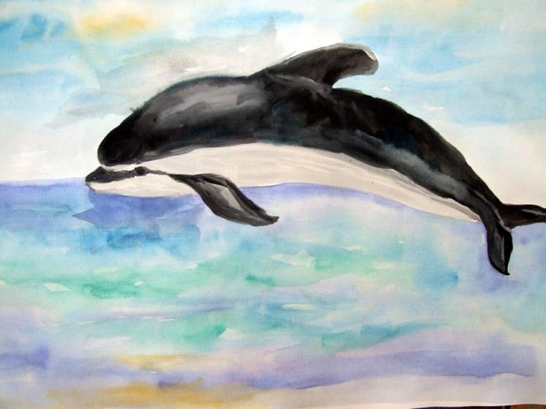 Раскраска "дельфины"