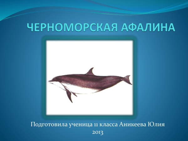 Белобокий Дельфин рисунок