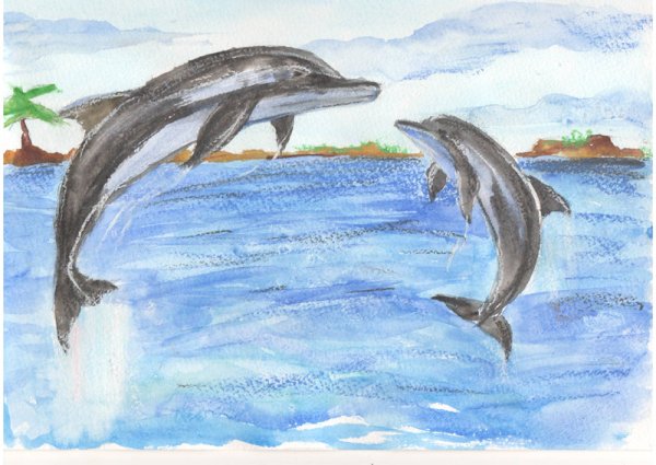 Черноморская Афалина нарисовать