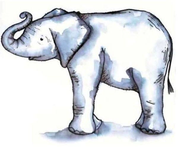 Слон из рассказа Куприна слон