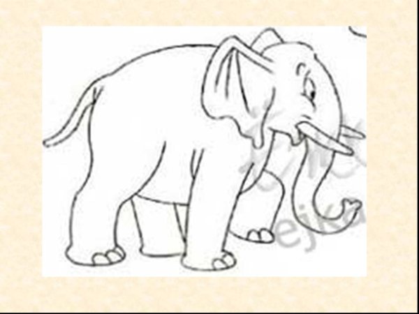 Куприн слон иллюстрации