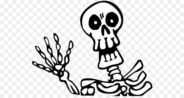 Скелет человека