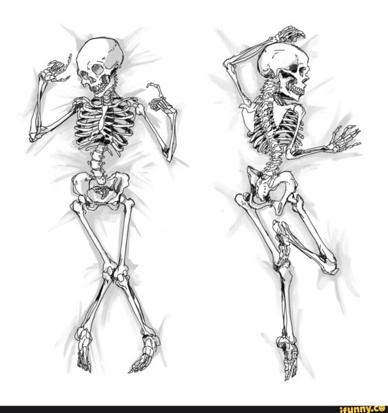 Векторный скелет