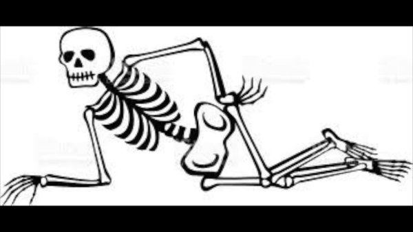 Скелет рисунок