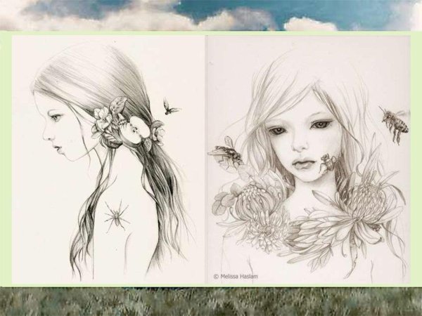 Мята перечная и Кошачья мята