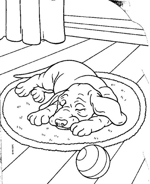 Щенок на коврике раскраска для детей