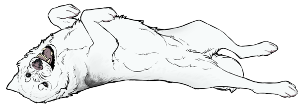 Собака лежит на спине референс