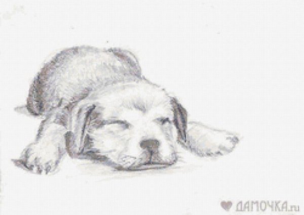Лежачая собака рисунок карандашом