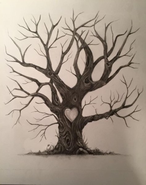 Сухое дерево арт