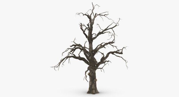 Сухое дерево