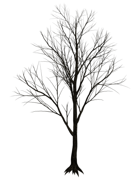 Дерево без листвы