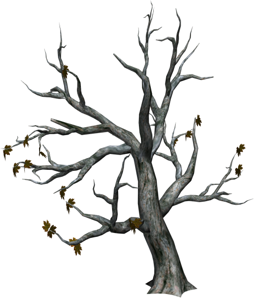 Сухое дерево без фона