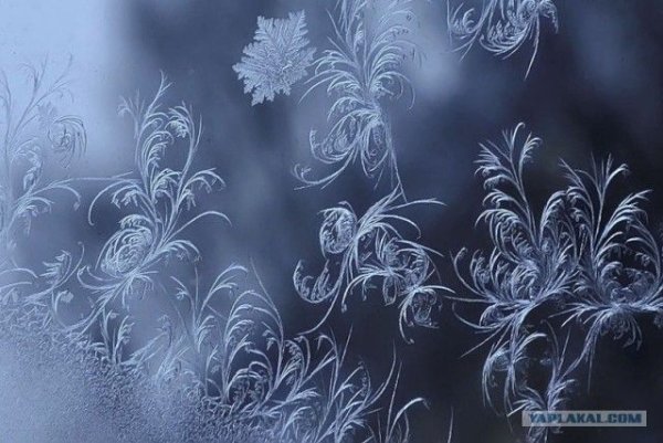 Зимние узоры