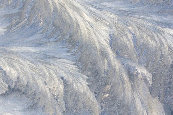 Морозные узоры в виде птицы