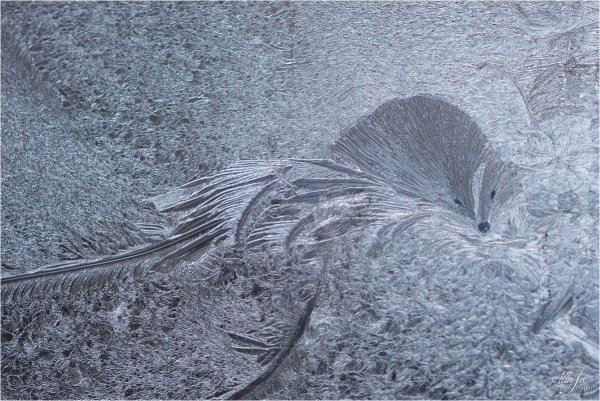 Узоры на стекле от Мороза