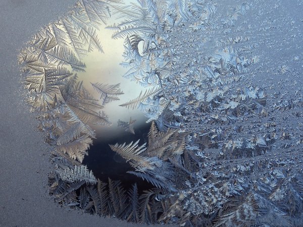 Саймон Бек снежный художник