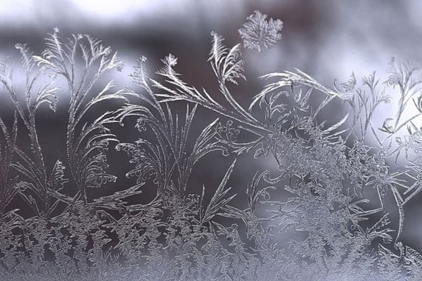 Морозные узоры