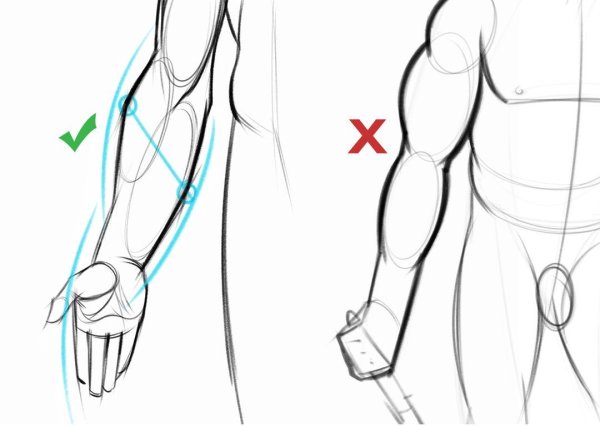 Референс предплечья сбоку