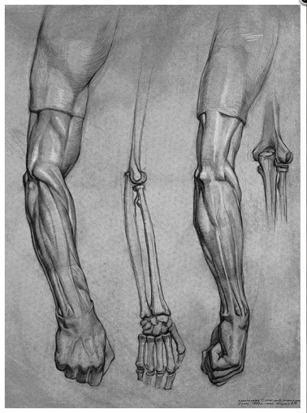 Экорше Гудона ноги