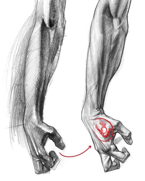 Локтевой сустав Баммес