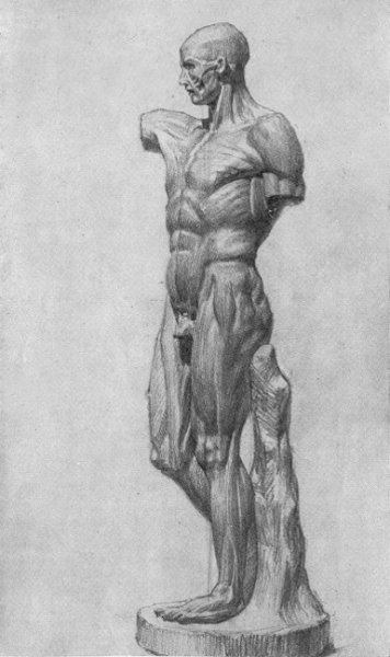 Экорше Гудона фигура