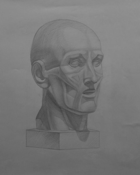 Голова Гудона Экорше ФАС