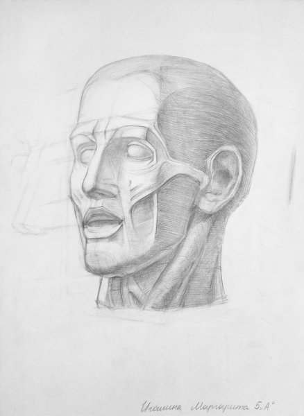 Экорше Гудона фигура