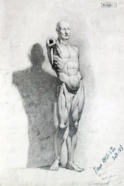 Рисунок фигуры Экорше Олег Торопыгин