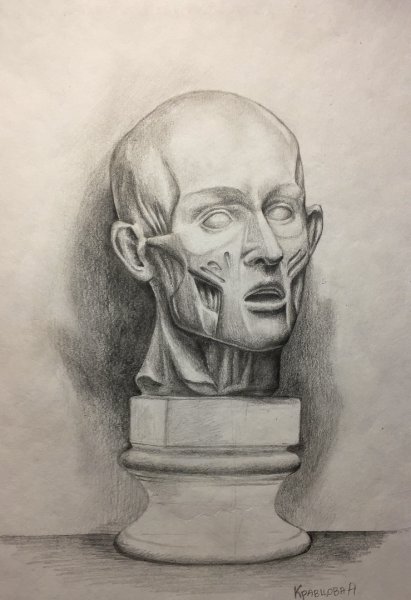 Экорше Гудона