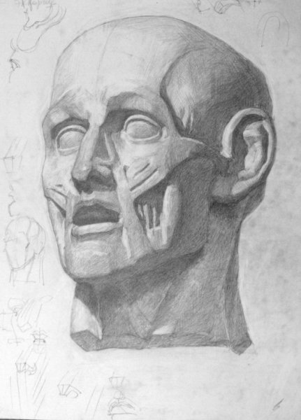 Гипсовая голова Экорше Гудона