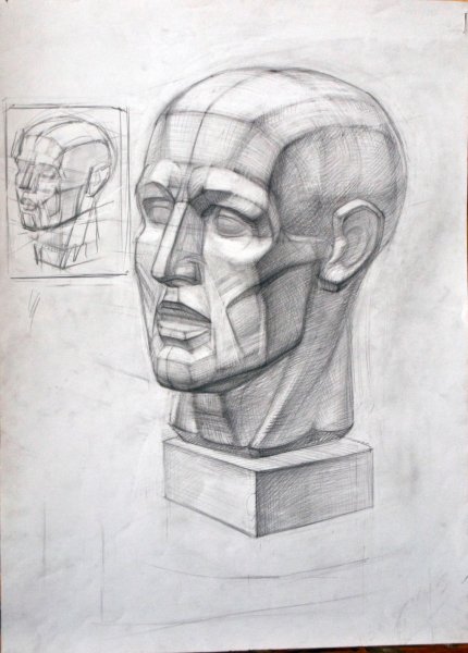 Рисунок Экорше головы Гудона