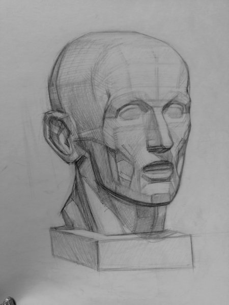 Экорше Гудона голова