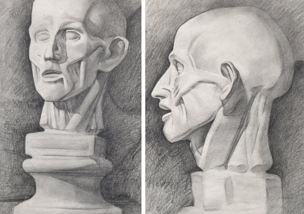 Экорше МАРХИ