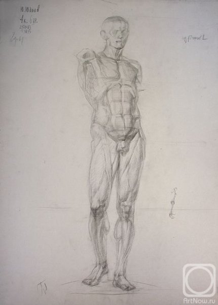 Экорше Гудона голова построение