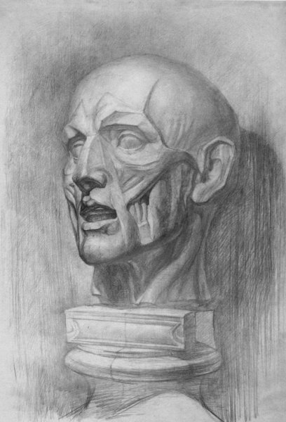 Экорше Гудона торс