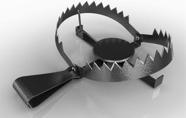 Медвежий капкан