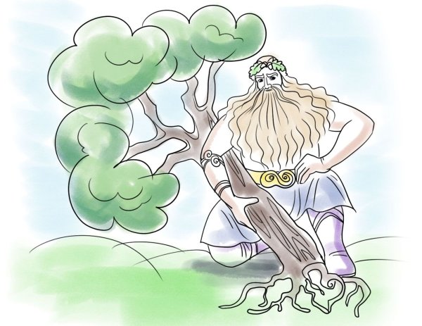 Асилки рисунок