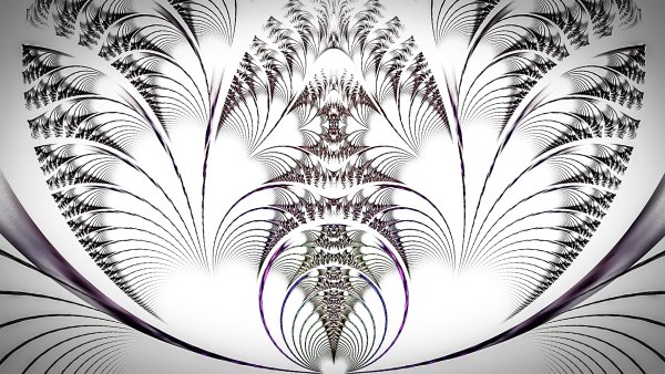 Инь Янь Сакральная геометрия